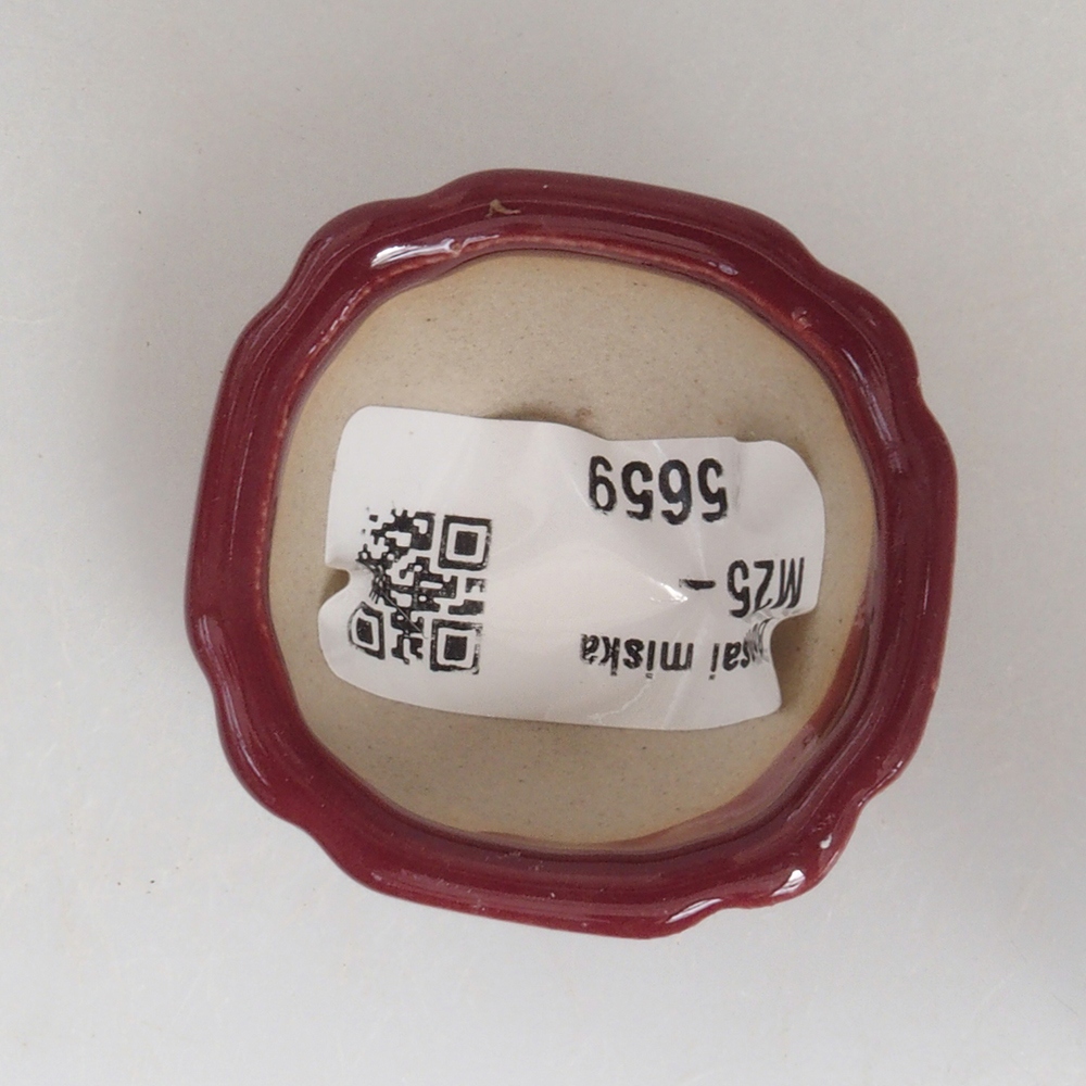 Cuenco mini bonsái 4,5 x 4,5 x 2,5 cm, burdeos