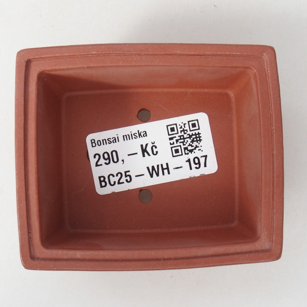 Cuenco mini bonsái 7,5 x 6,5 x 3 cm, color ladrillo