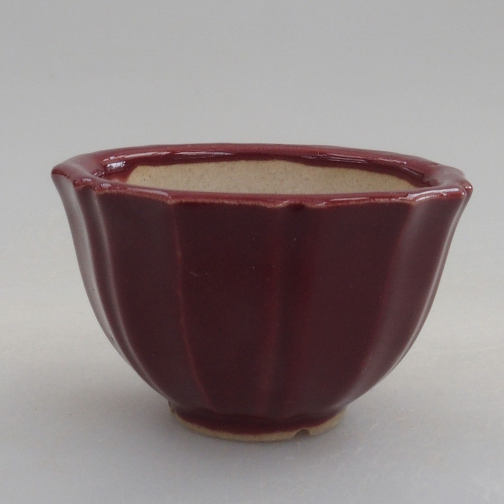 Mini cuenco bonsái 5 x 5 x 3 cm, burdeos