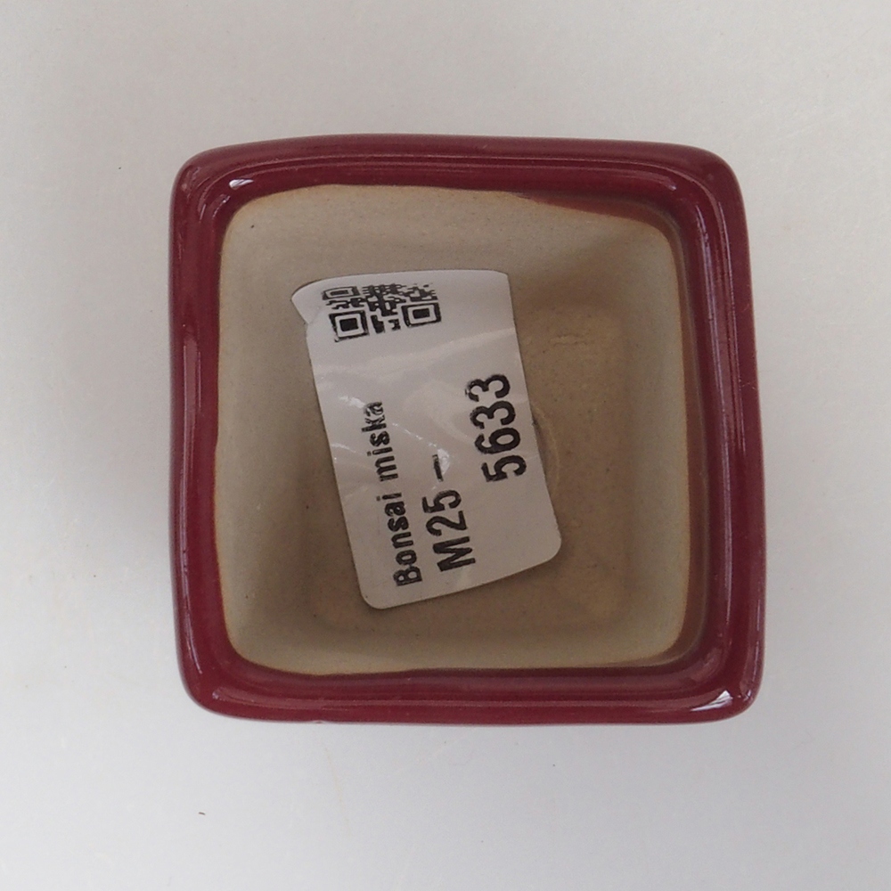 Cuenco mini bonsái 4,5 x 4,5 x 4,5 cm, burdeos