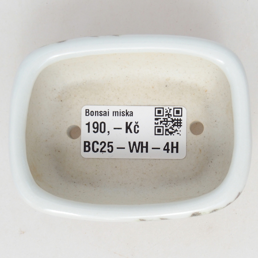 Mini cuenco bonsái 8 x 6 x 3 cm, blanco