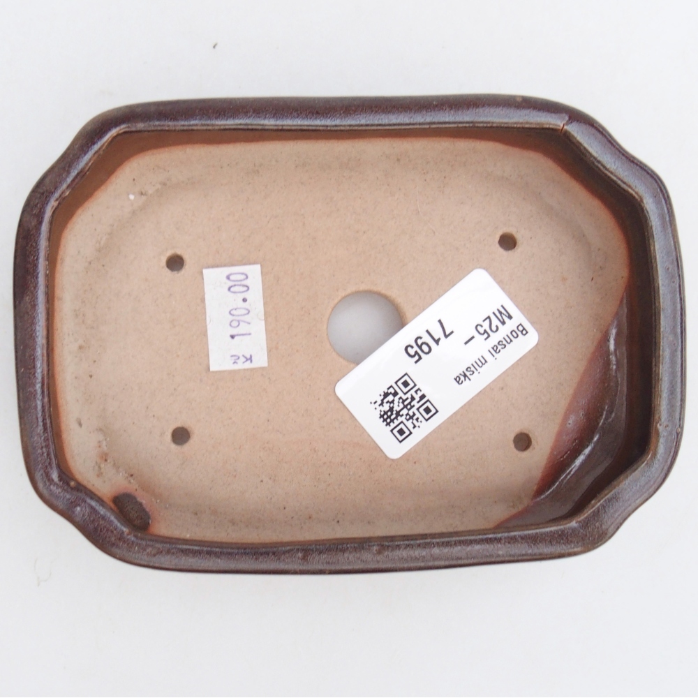 Cuenco bonsái de cerámica 13 x 9 x 3 cm, marrón