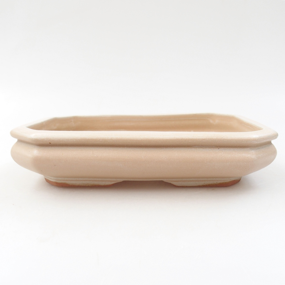 Cuenco bonsái de cerámica 18,5 x 13,5 x 4 cm, color beige