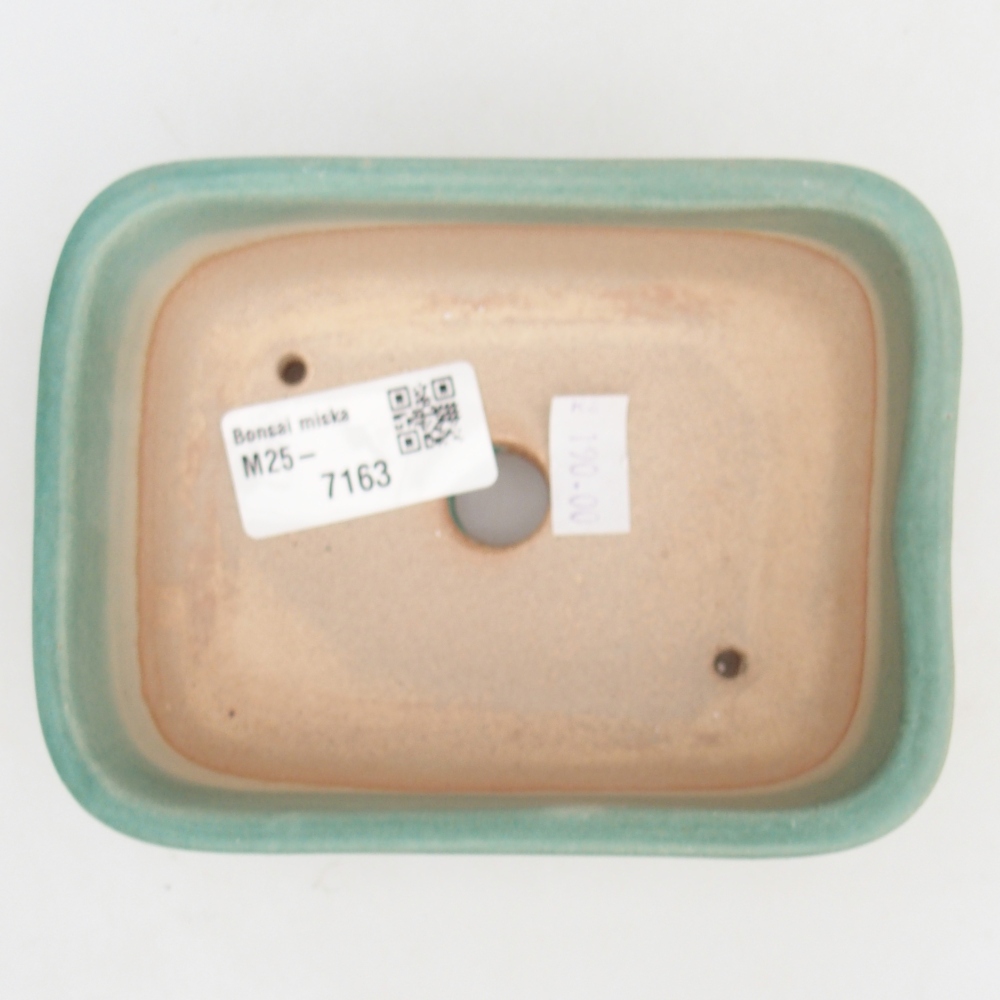 Cuenco bonsái de cerámica 12,5 x 10 x 5 cm, verde