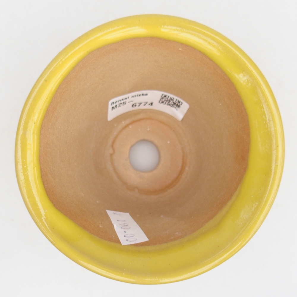 Cuenco bonsái de cerámica 10,5 x 10,5 x 7 cm, amarillo