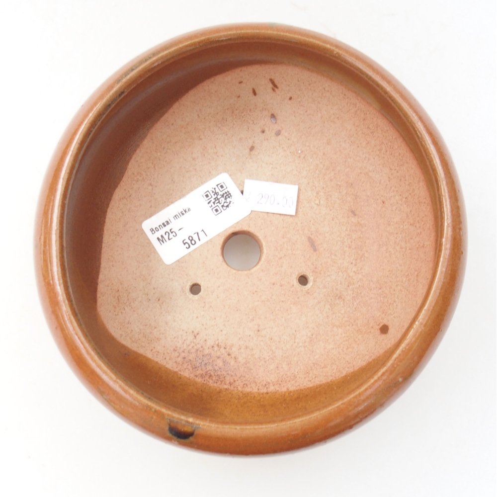 Cuenco bonsái de cerámica 22 x 17 x 5 cm, verde