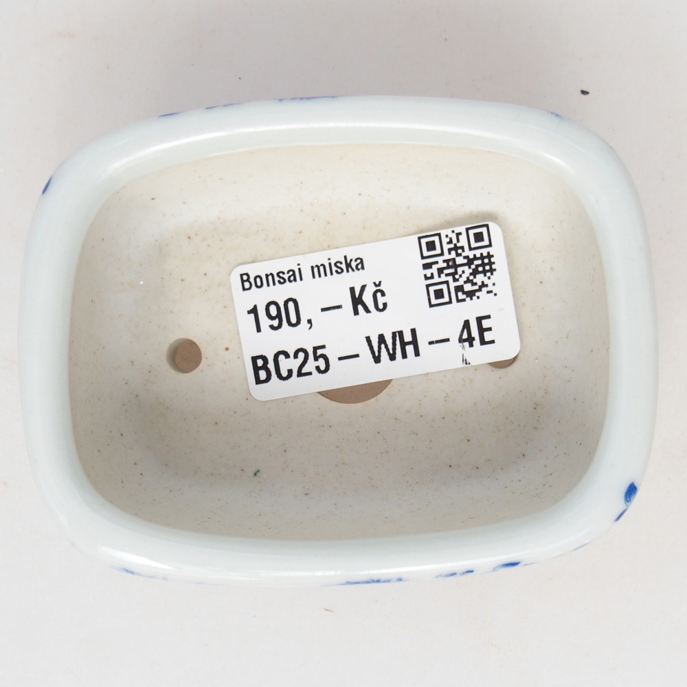 Mini cuenco bonsái 8 x 6 x 3 cm, blanco