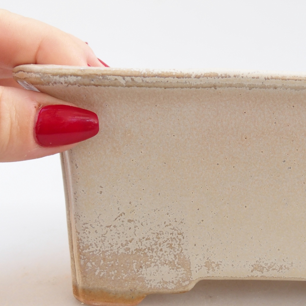 Cuenco bonsái de cerámica 18 x 14 x 7 cm, color beige