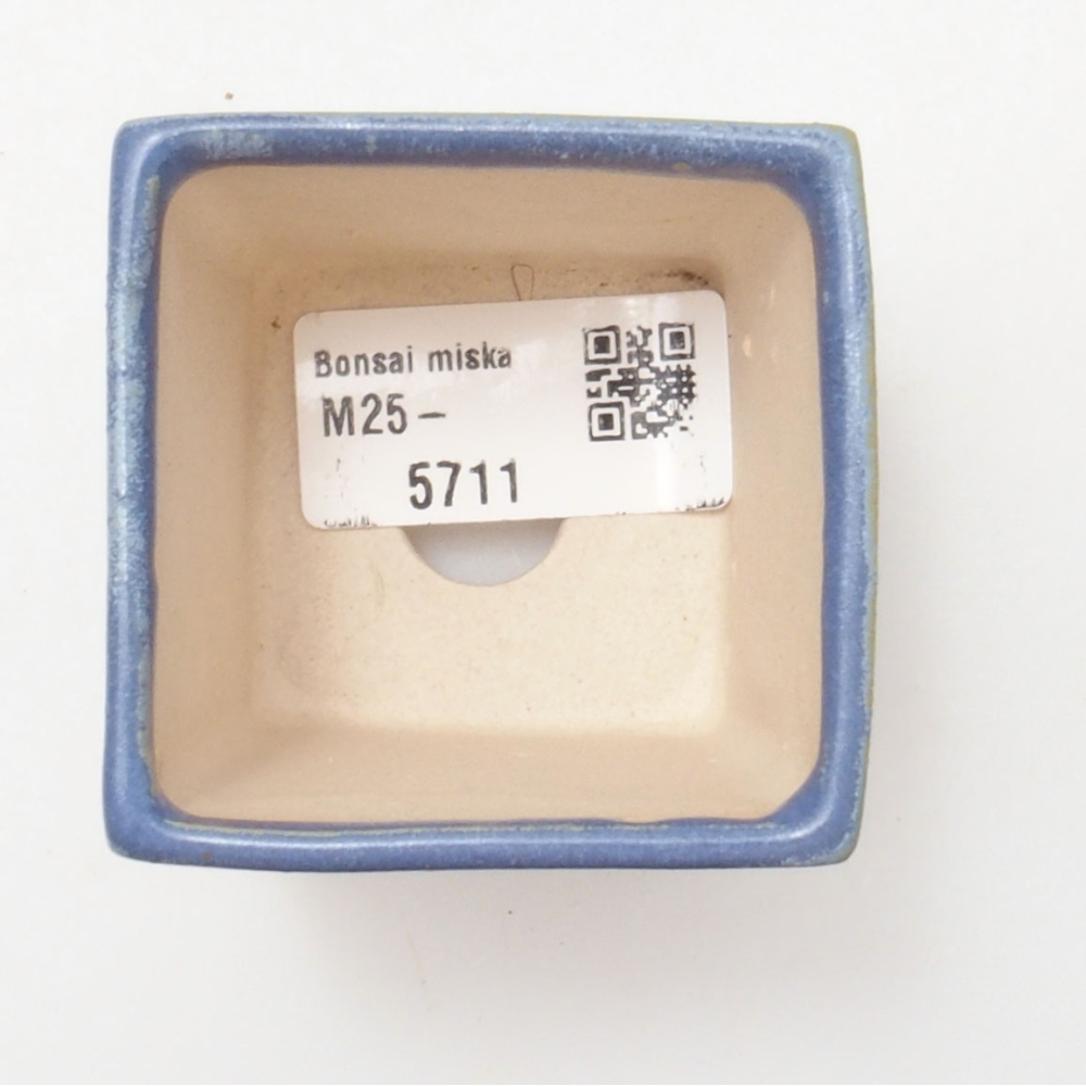 Cuenco mini bonsái 5,5 x 5,5 x 6,5 cm, color azul