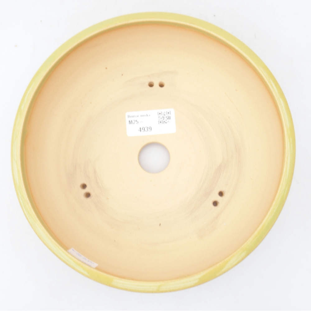 Cuenco bonsái de cerámica 20 x 20 x 5,5 cm, verde