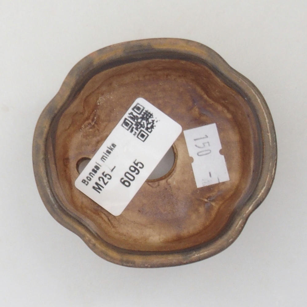 Cuenco bonsái de cerámica 10 x 8,5 x 4 cm, marrón