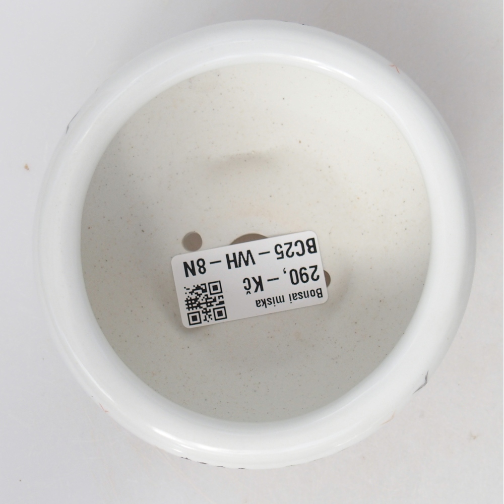 Cuenco bonsái de cerámica 10 x 10 x 5 cm, color blanco