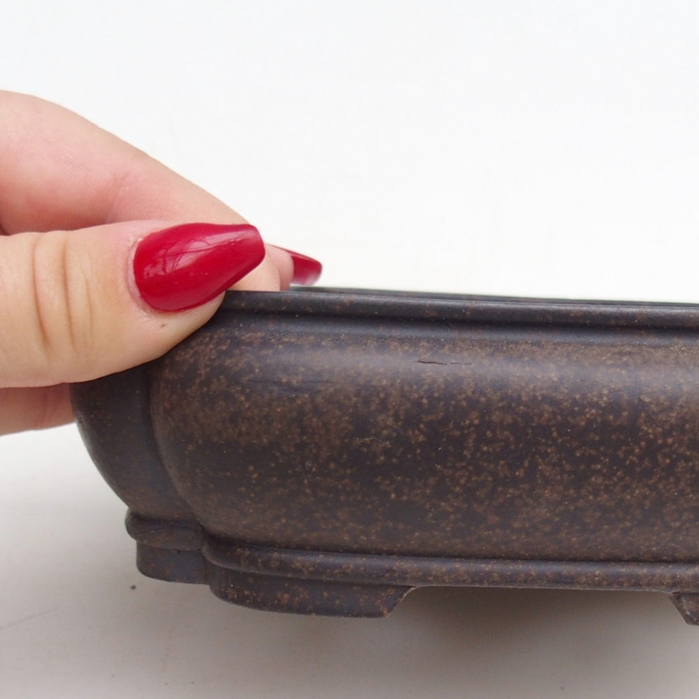 Cuenco bonsái de cerámica 14 x 11 x 4,5 cm, color ocre parduzco