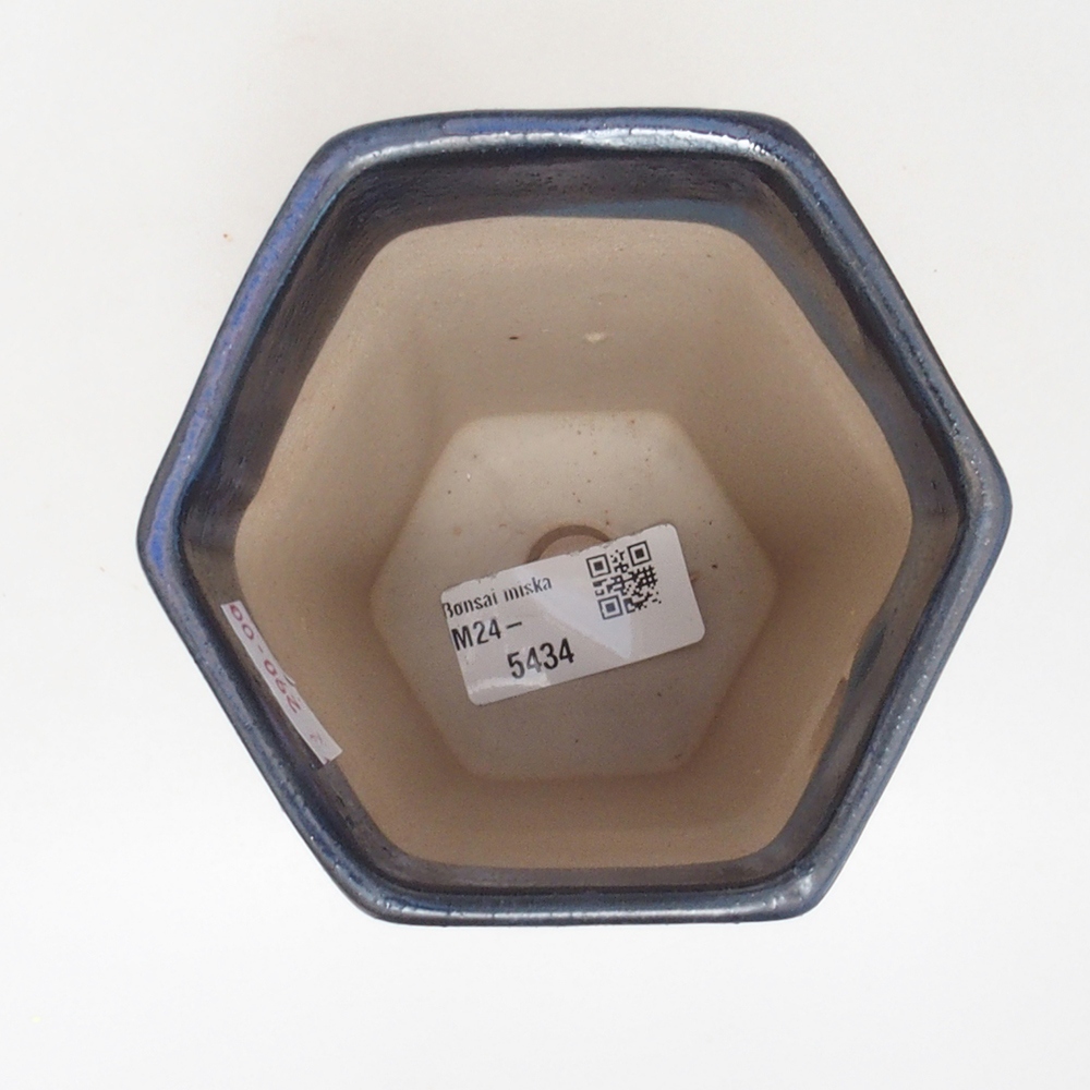 Cuenco bonsái de cerámica 9,5 x 8,5 x 14,5 cm, color azul