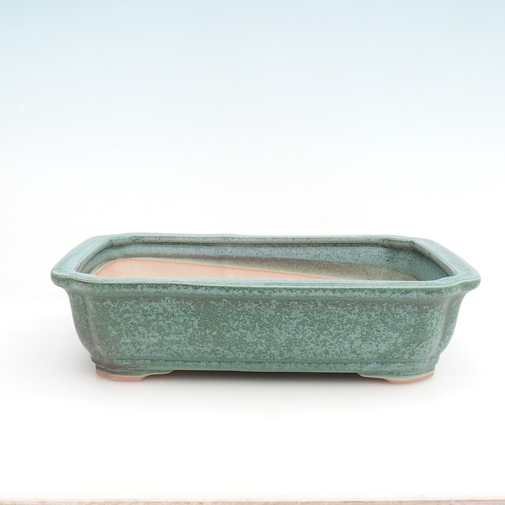 Cuenco para bonsái H07 - 30 x 20,5 x 8 cm.