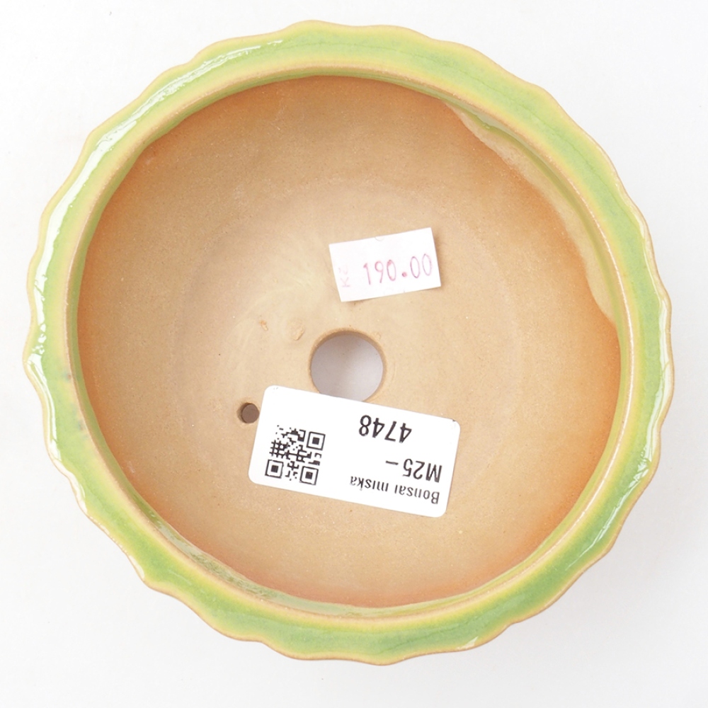 Cuenco bonsái de cerámica 11 x 11 x 5 cm, verde