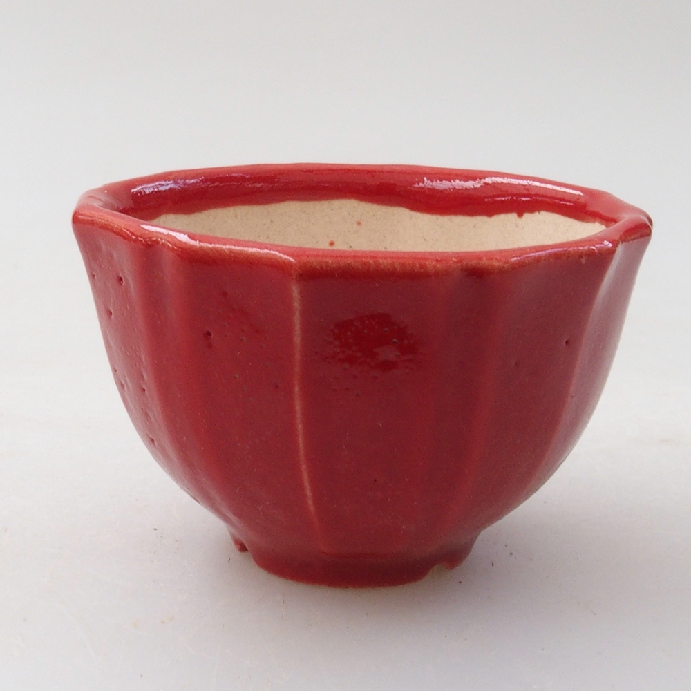 Mini cuenco bonsái 5 x 5 x 3 cm, color rojo