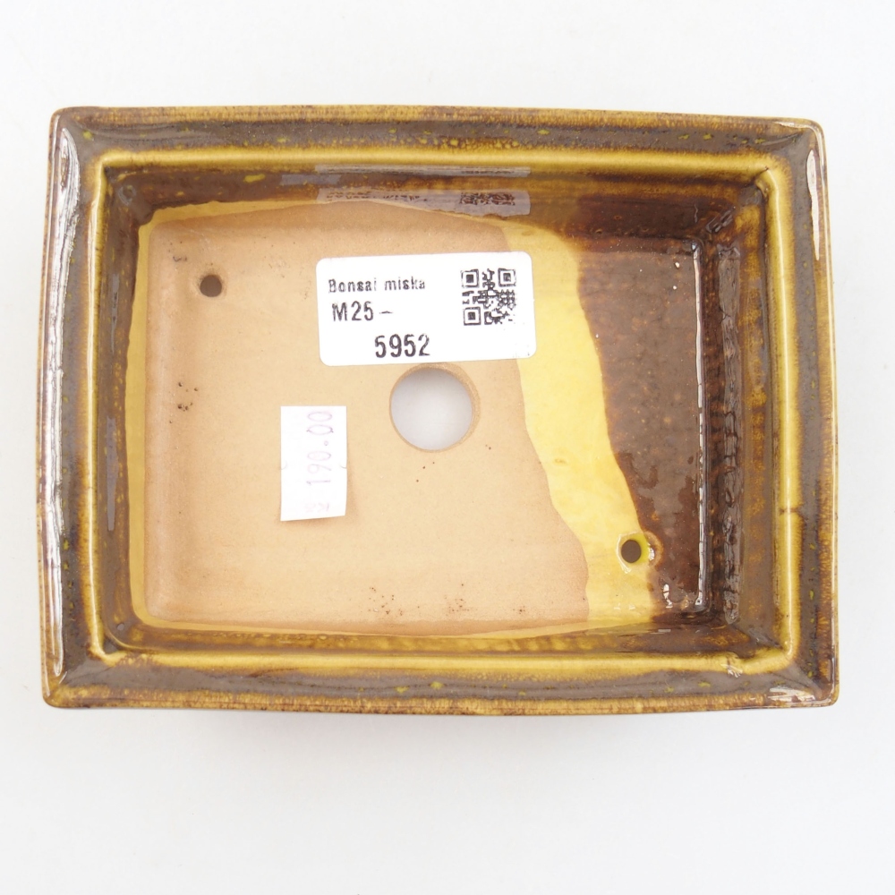 Cuenco bonsái de cerámica 22 x 17 x 5 cm, verde