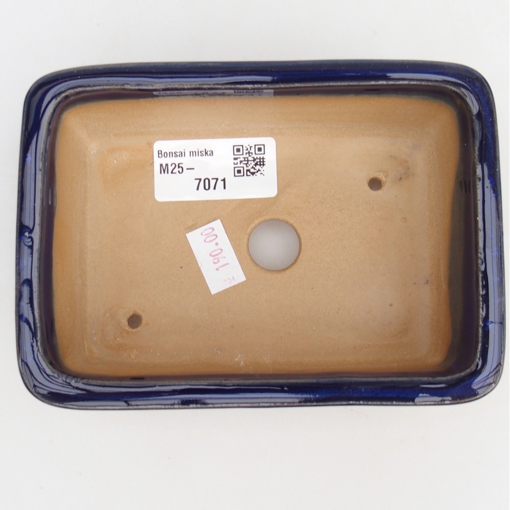 Cuenco bonsái de cerámica 13,5 x 10 x 4,5 cm, color azul