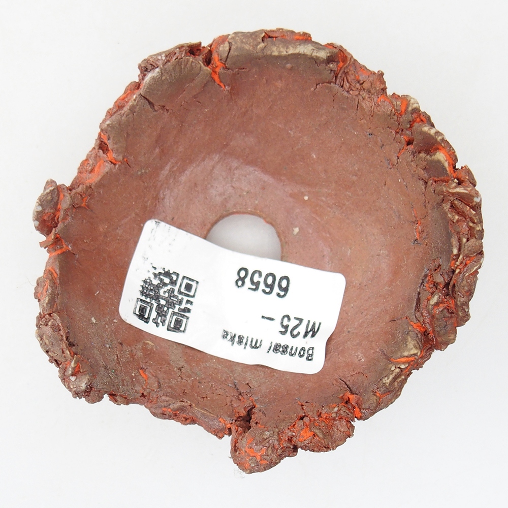 Concha de cerámica 7 x 7 x 4 cm , color naranja