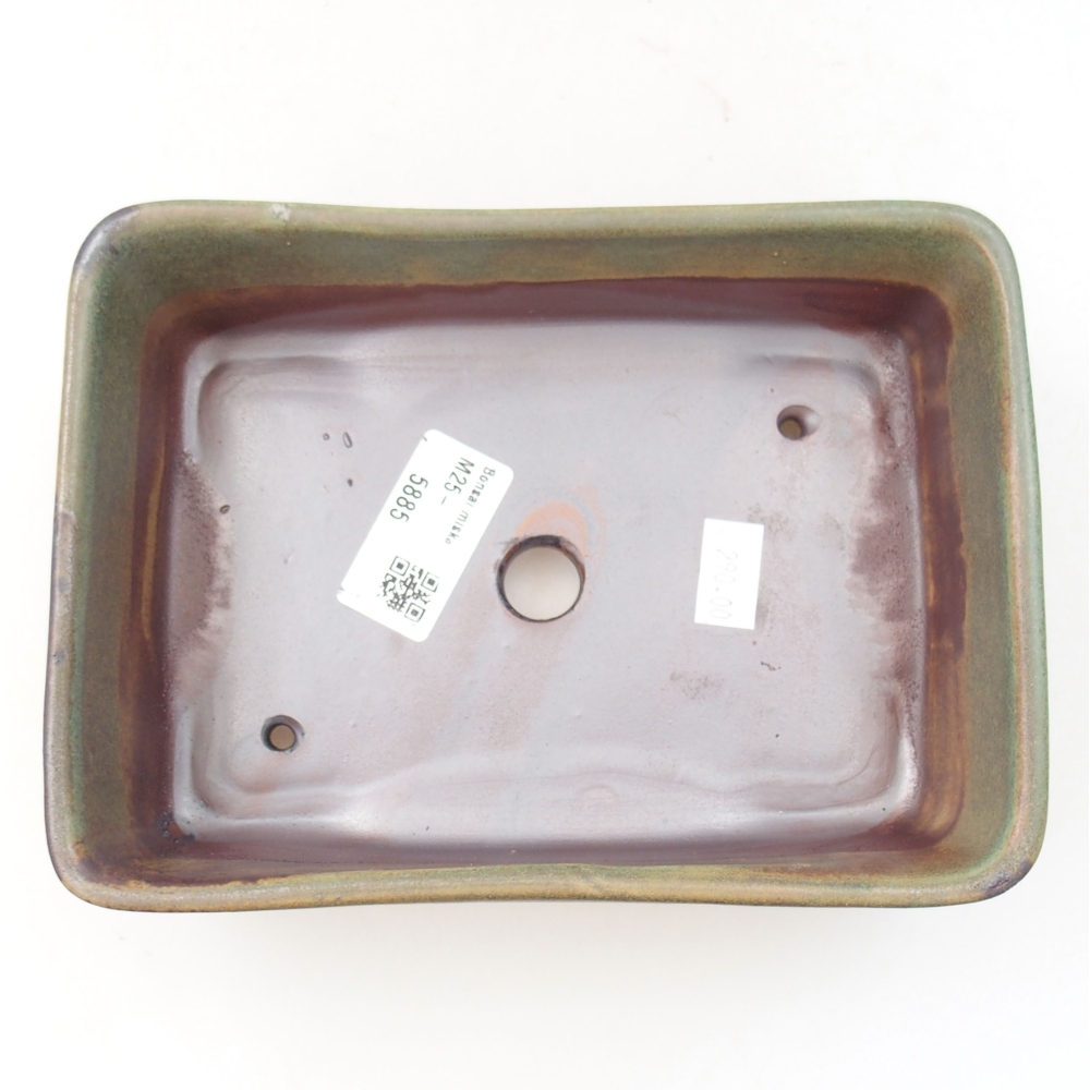 Cuenco bonsái de cerámica 22 x 17 x 5 cm, verde