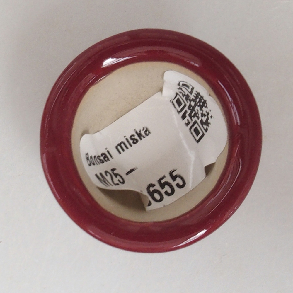 Mini cuenco bonsái 3,5 x 3,5 x 2,5 cm, burdeos