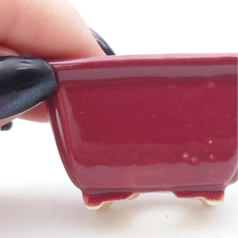 Cuenco mini bonsái 4,5 x 3,5 x 2,5 cm, burdeos