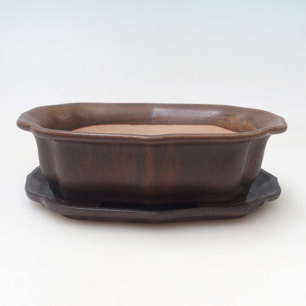 Cuenco bonsái + platillo H51 - 18x14x5 cm - marrón