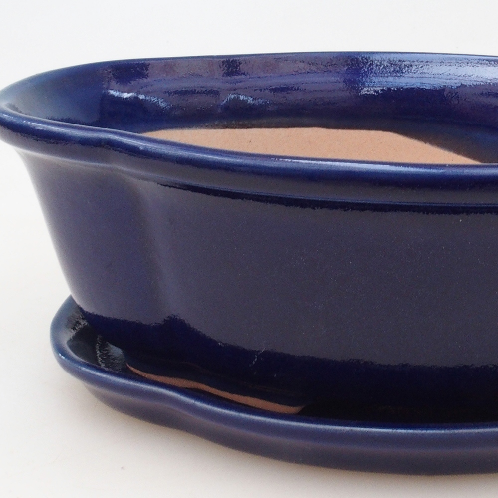 Bonsai cuenco + platillo H75 - azul