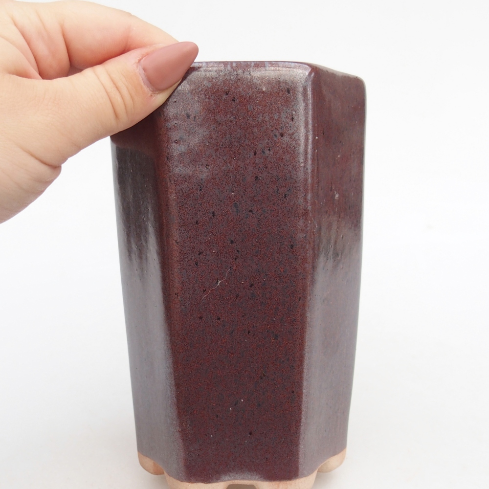 Cuenco bonsái de cerámica 10 x 8,5 x 14,5 cm, burdeos