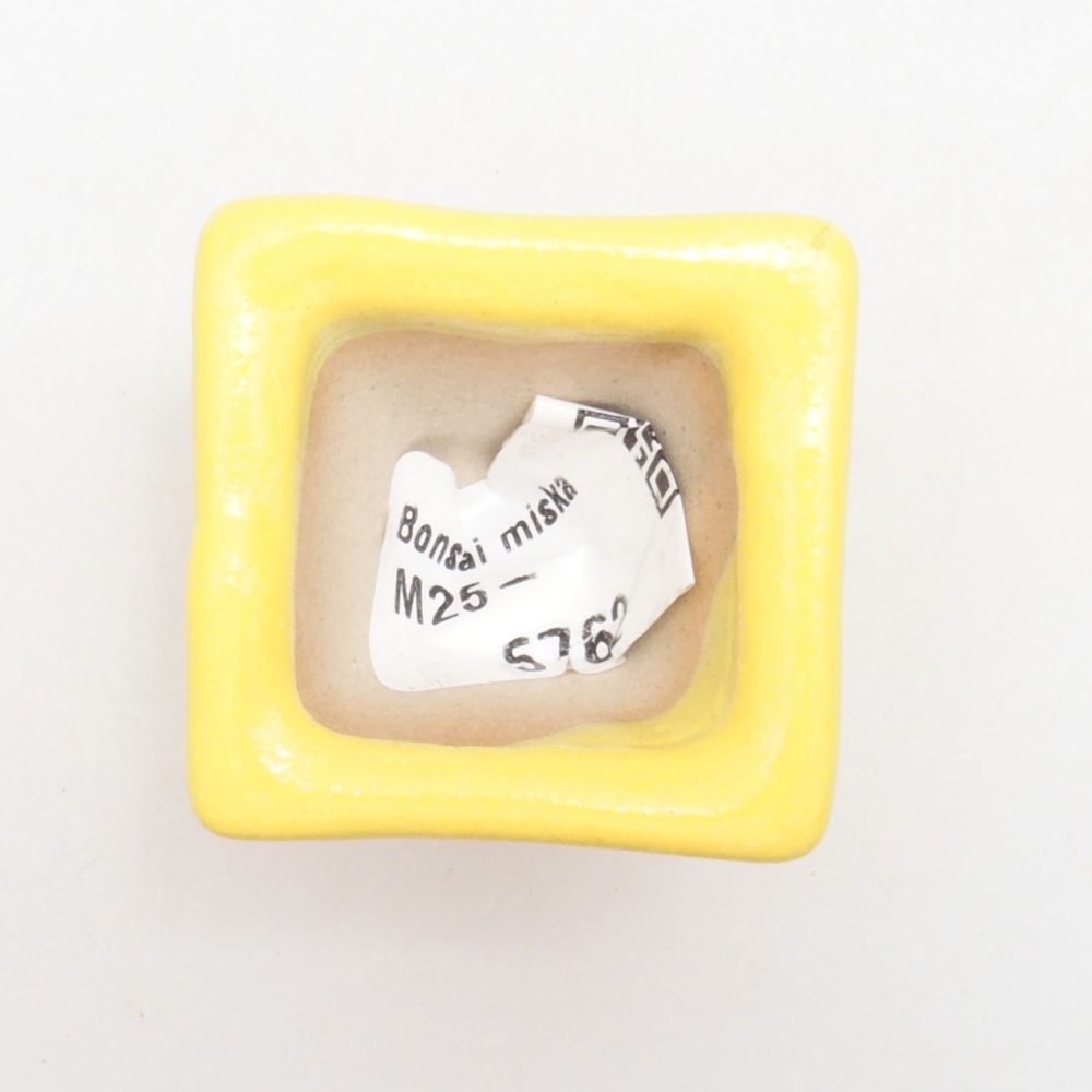 Cuenco bonsái de cerámica 3,5 x 3,5 x 3 cm, amarillo