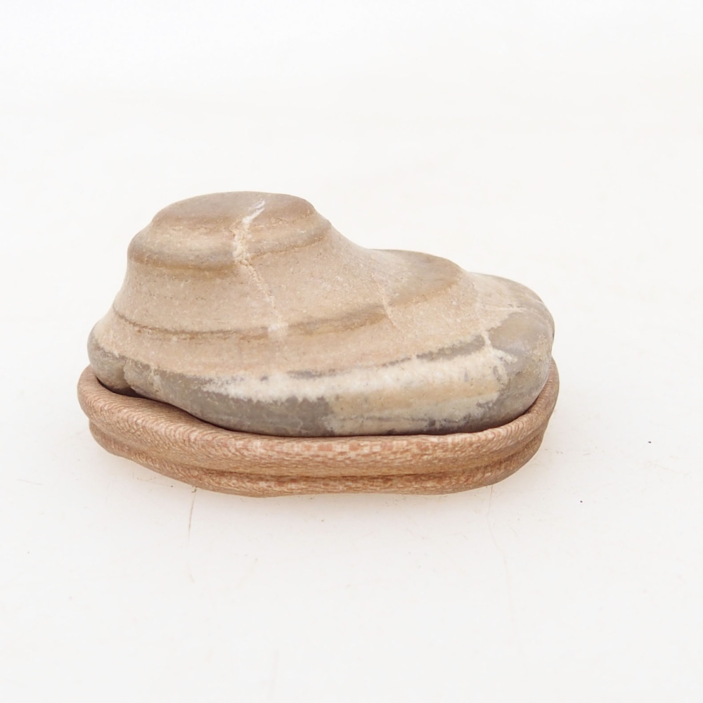 Suiseki - Piedra con DAI (base de madera)