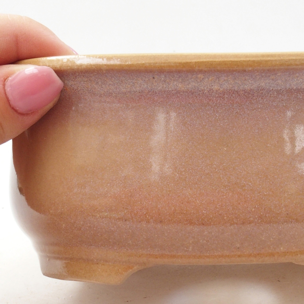 Cuenco bonsái de cerámica 15,5 x 12 x 5,5 cm, color beige