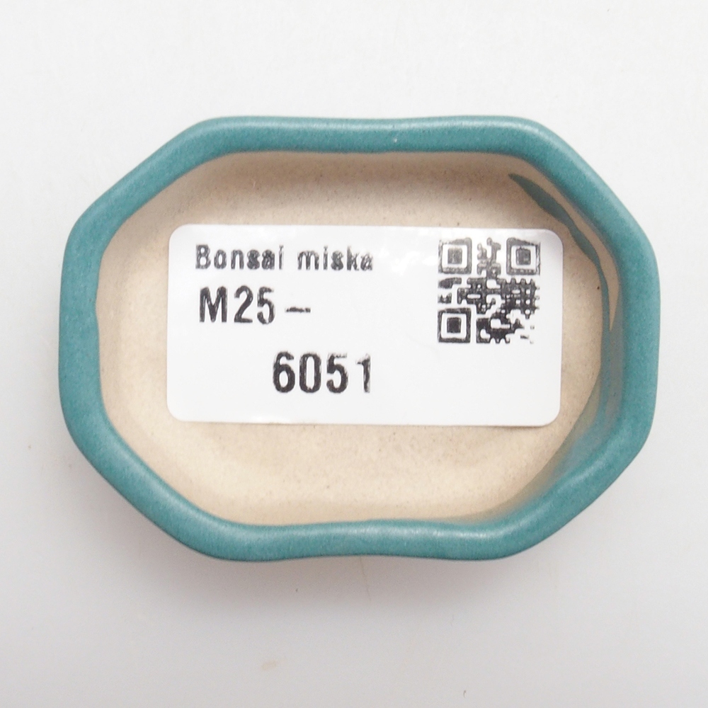 Cuenco bonsái de cerámica 6,5 x 5,5 x 4 cm, color azul