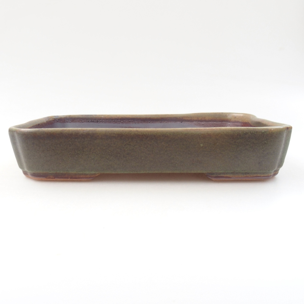 Cuenco bonsái de cerámica 22 x 17 x 5 cm, verde