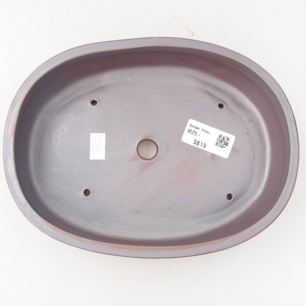 Cuenco bonsái de cerámica 22 x 16,5 x 4 cm, color metálico