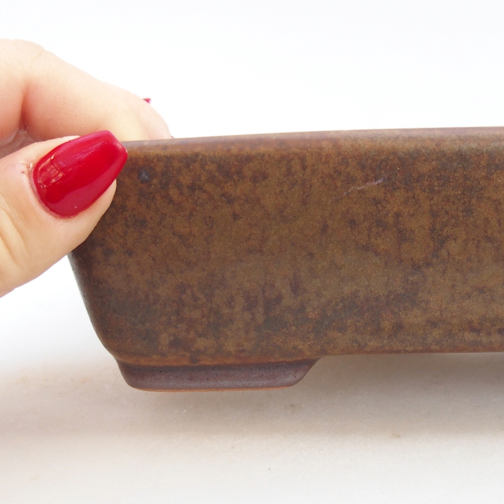 Cuenco bonsái de cerámica 18,5 x 13,5 x 3,5 cm, marrón