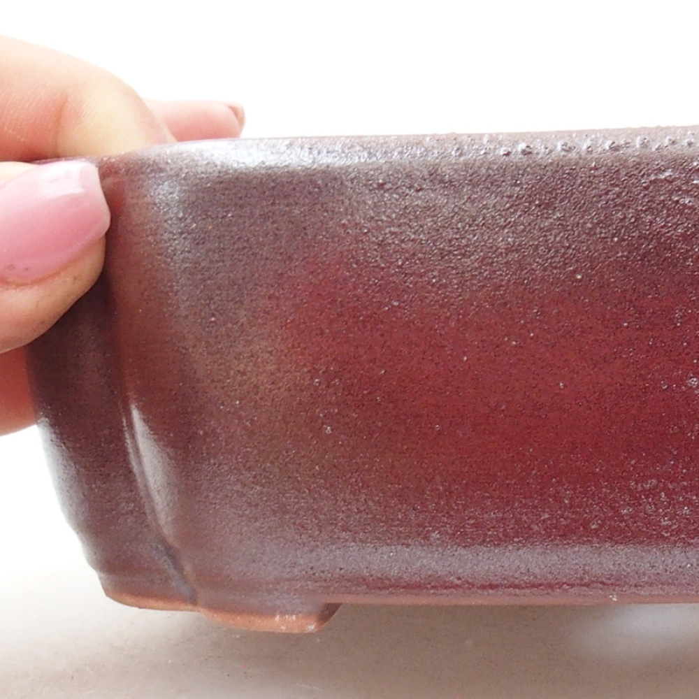 Cuenco bonsái de cerámica 18 x 13 x 5 cm, marrón