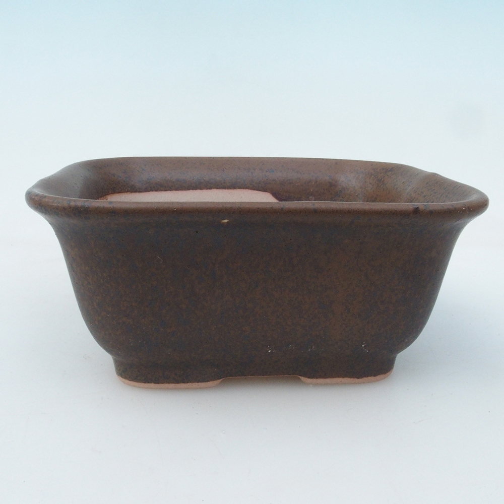 Cuenco bonsái H38 - 12 x 10 x 5,5 cm - marrón