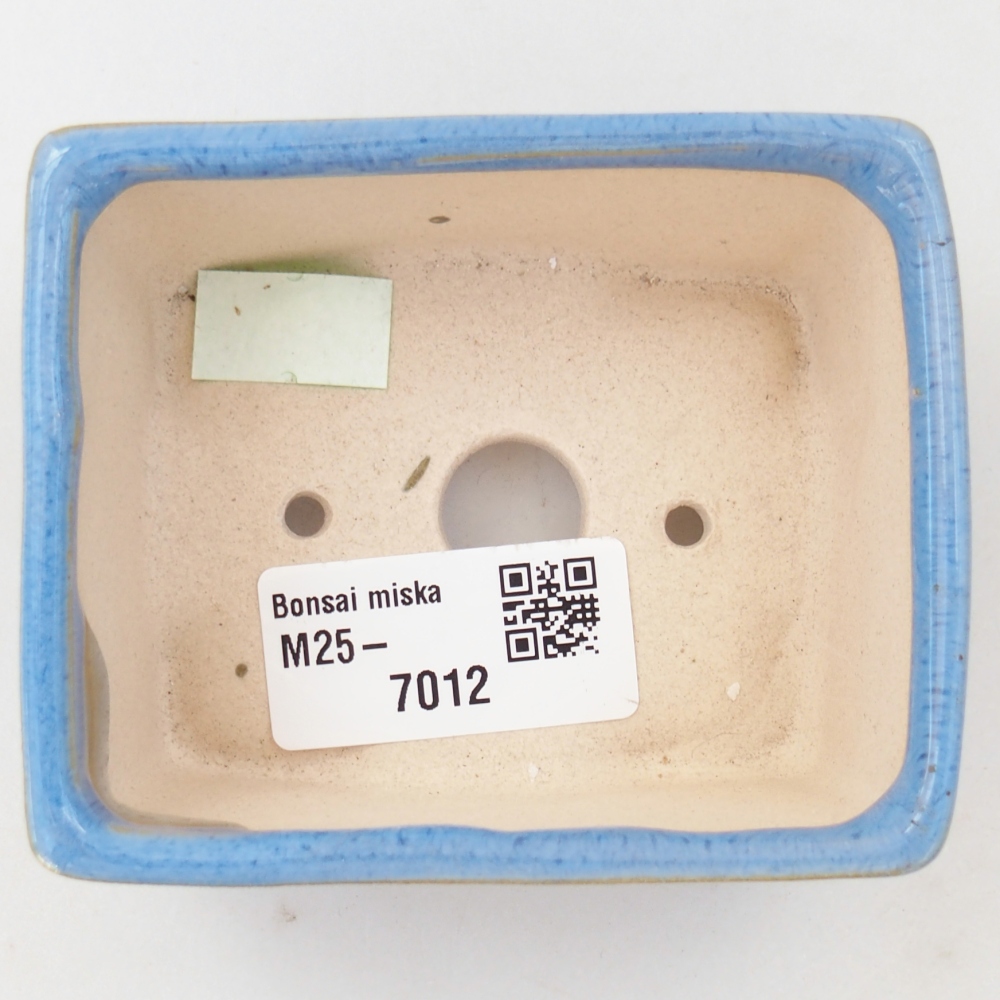 Cuenco bonsái de cerámica 9 x 7 x 4 cm, color azul