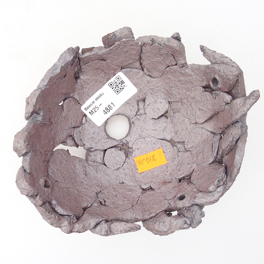 Concha de cerámica 16 x 14 x 6,5 cm , color metalizado