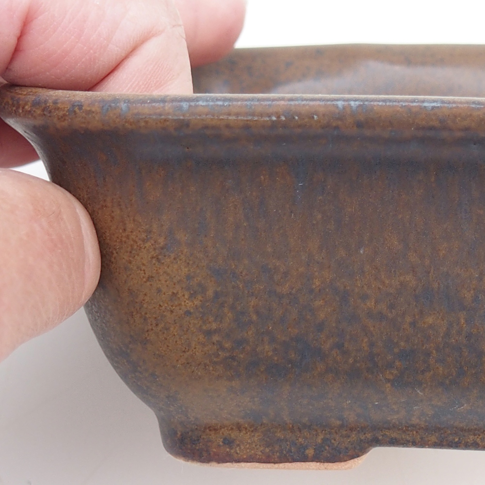 Cuenco para bonsái H11 - 11,5 x 10 x 4 cm.