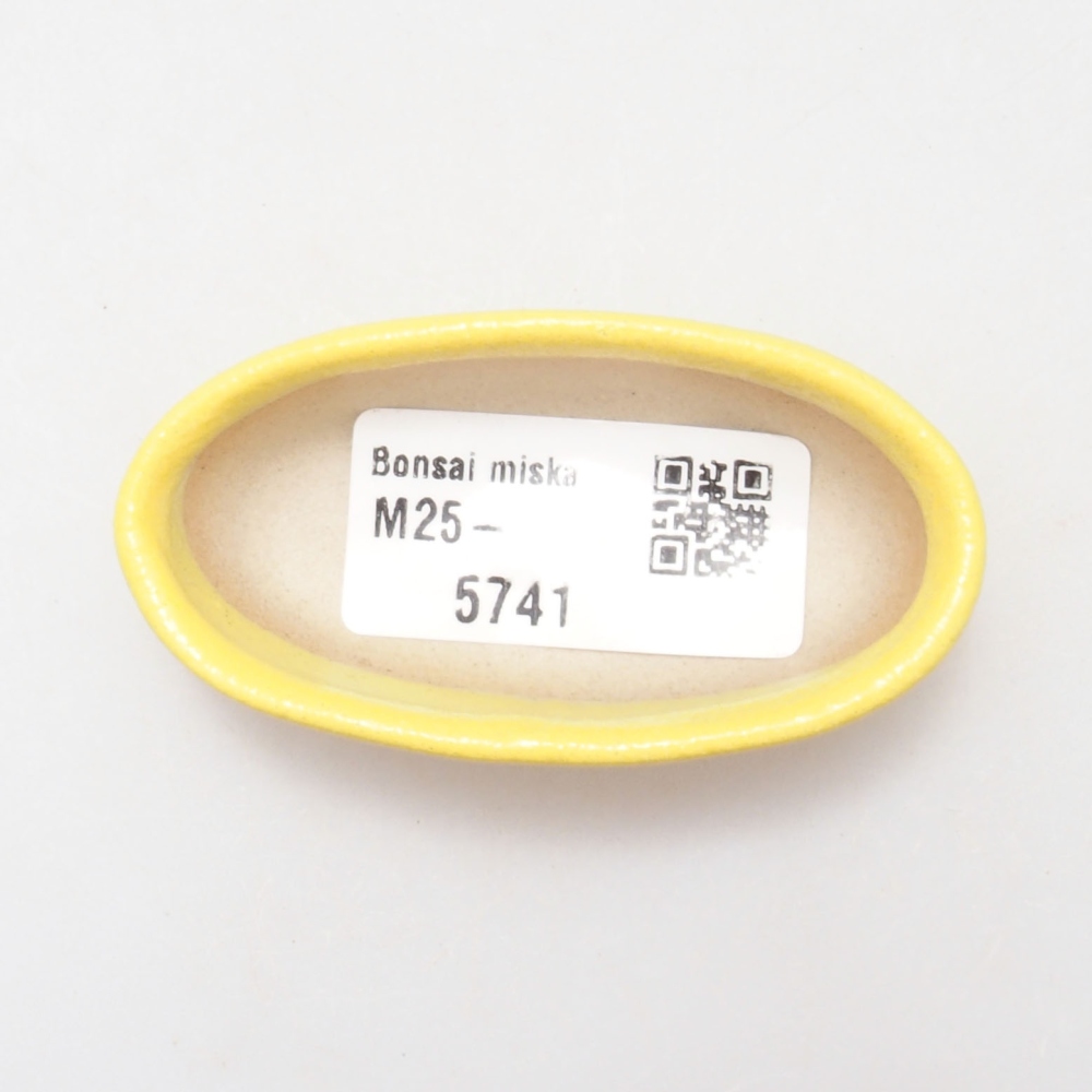 Cuenco bonsái de cerámica 6,5 x 3,5 x 2 cm, amarillo