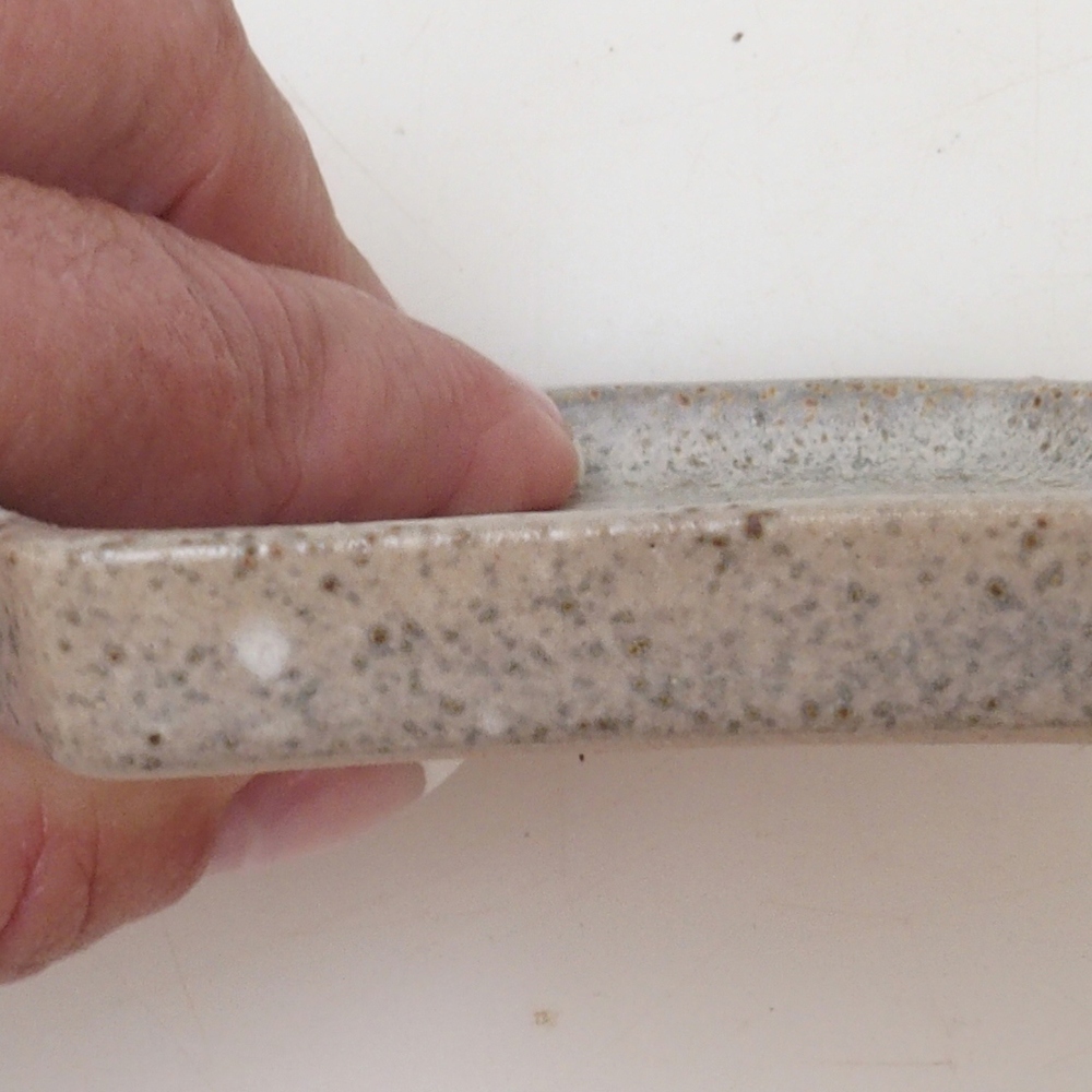 Bonsái hexágono D3 - 11 x 9,5 x 1 cm - beige