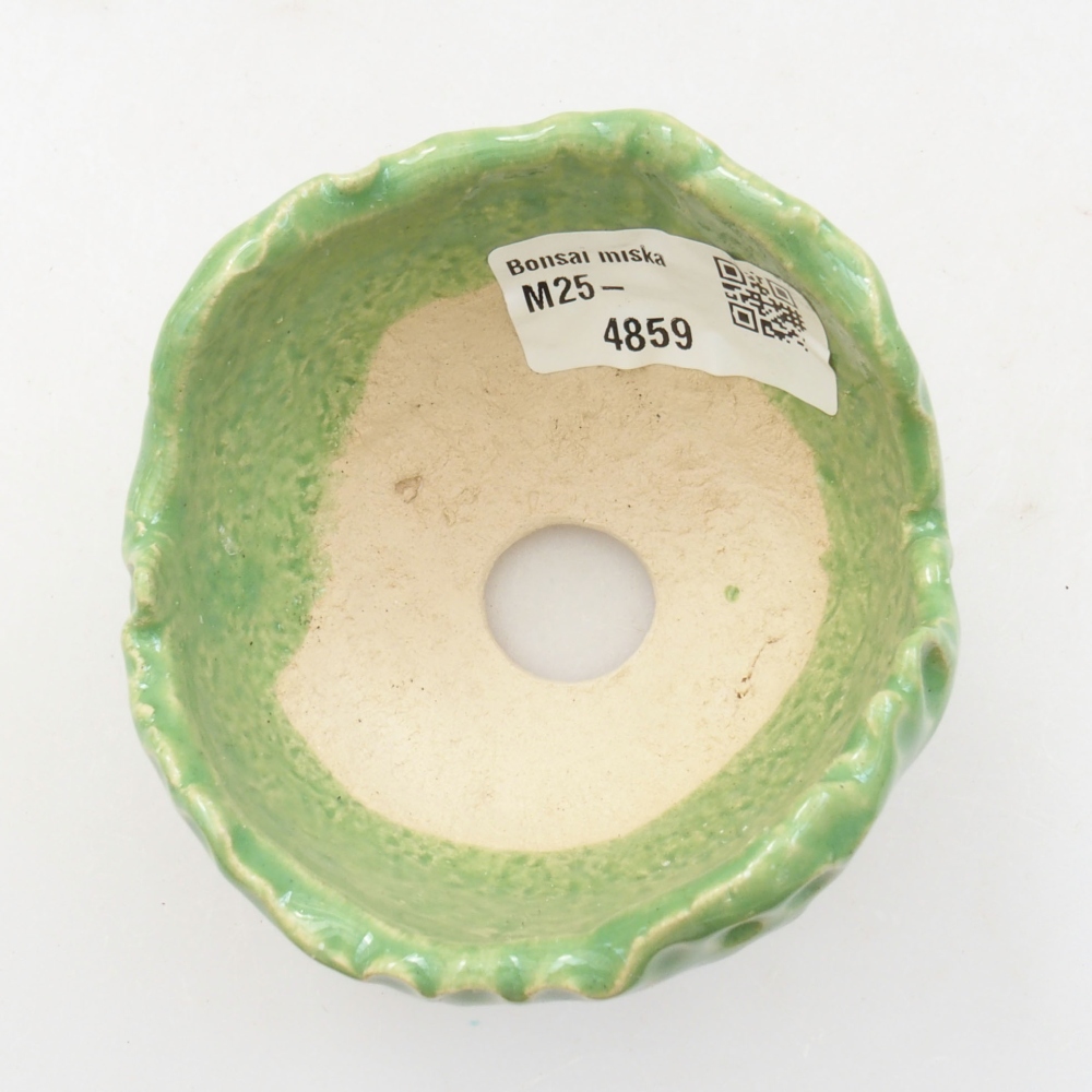 Concha de cerámica 7 x 7 x 5 cm , color verde