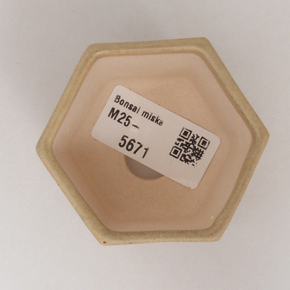 Cuenco mini bonsái 7 x 5,5 x 4,5 cm, marrón