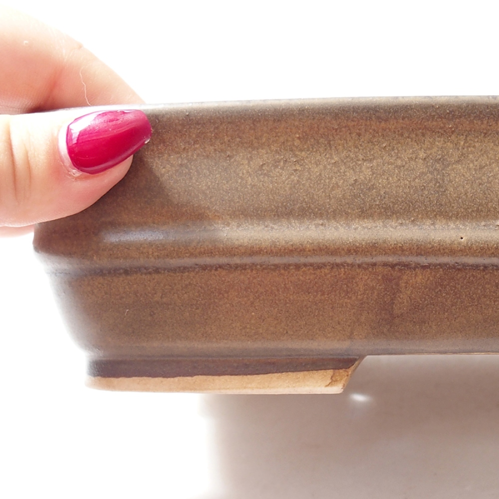 Cuenco bonsái de cerámica 22 x 19 x 5,5 cm, marrón