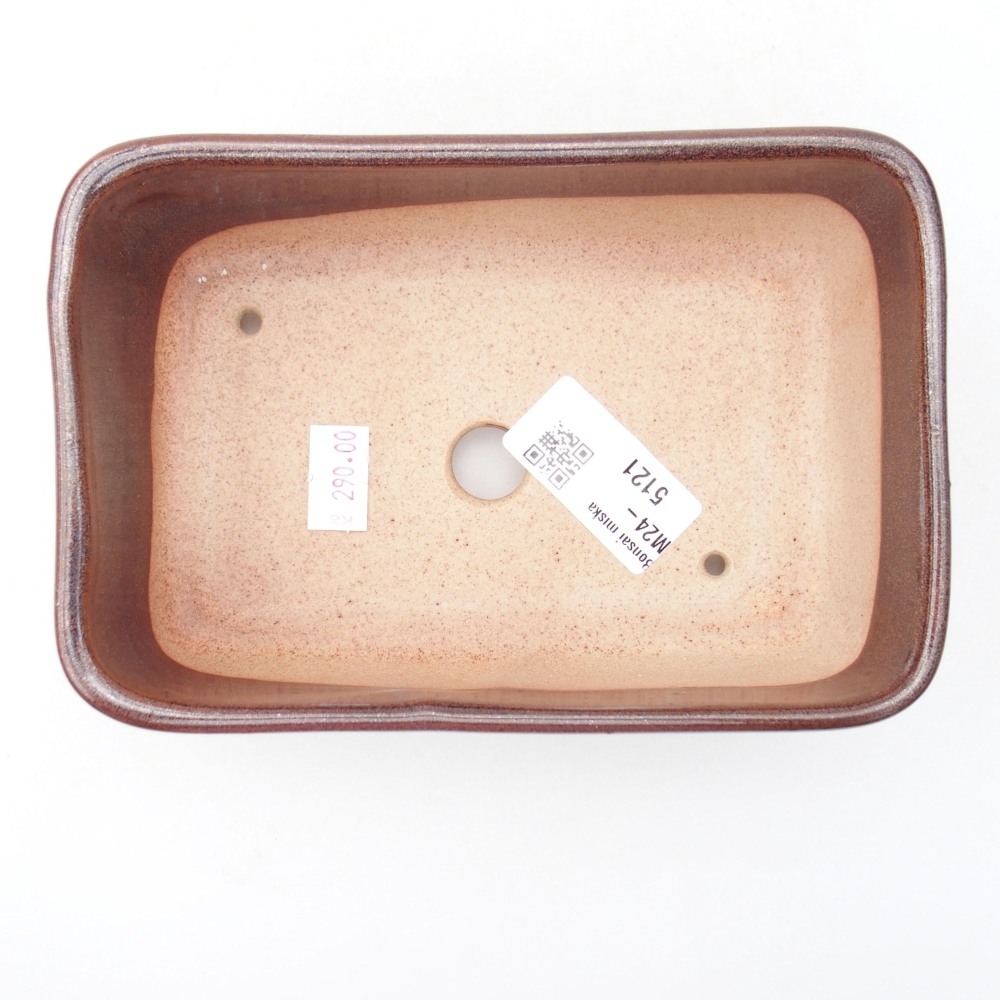 Cuenco bonsái de cerámica 16 x 11 x 5,5 cm, marrón