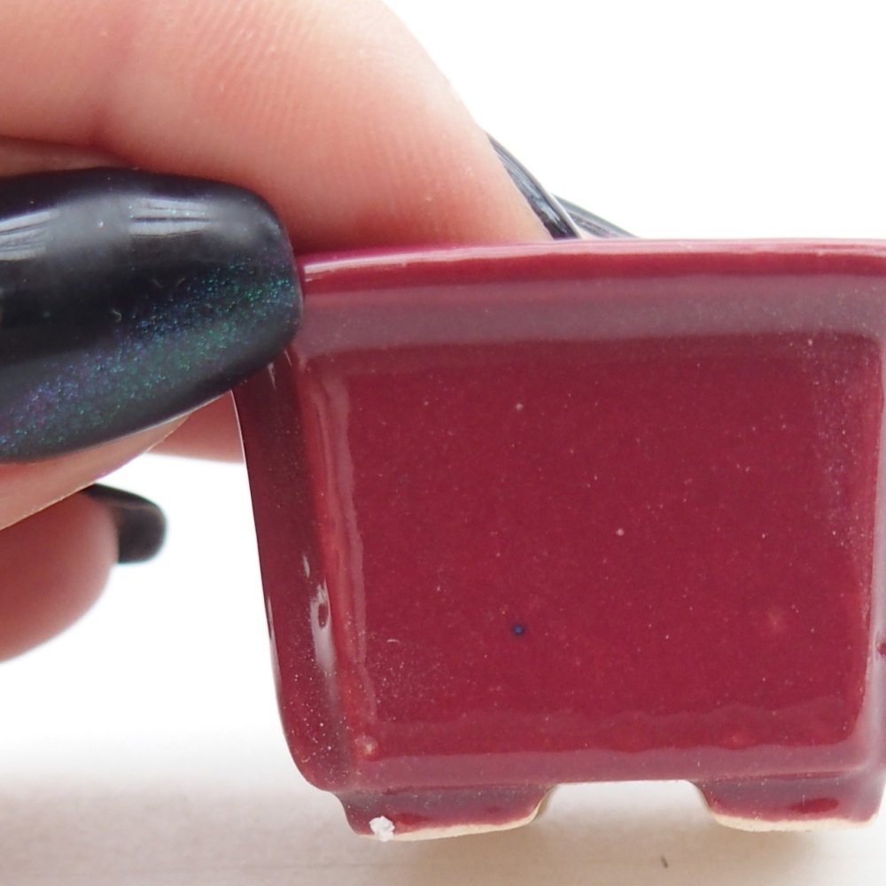 Cuenco mini bonsái 3,5 x 3,5 x 2 cm, burdeos