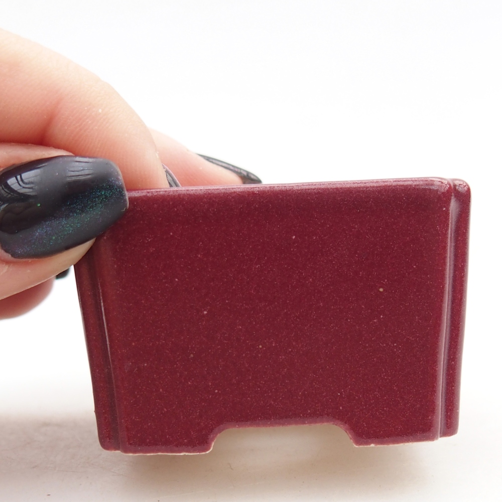 Mini cuenco bonsái 5 x 5 x 3 cm, burdeos